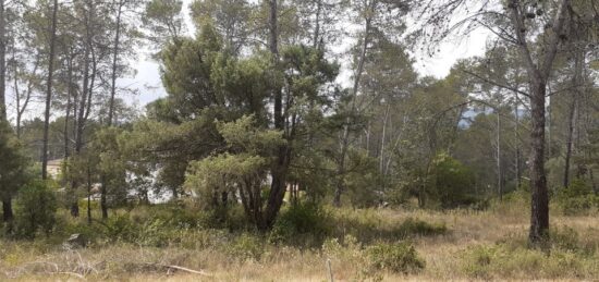 Terrain à bâtir à Bagnols-en-Forêt, Provence-Alpes-Côte d'Azur