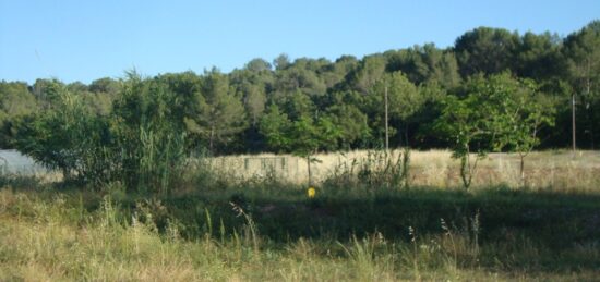 Terrain à bâtir à Carnoules, Provence-Alpes-Côte d'Azur