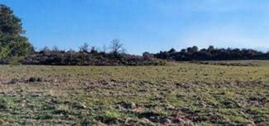 Terrain à bâtir à Villeneuve-la-Rivière, Occitanie