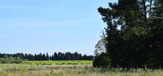 Terrain à bâtir à Domazan, Occitanie