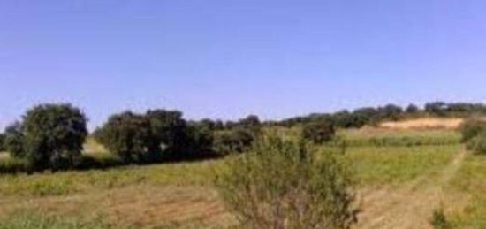 Terrain à bâtir à Saint-Jean-Lasseille, Occitanie