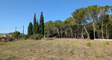 Le Cannet Terrain à bâtir - 1948725-9270annonce220240916PrEzJ.jpeg Maisons de Manon