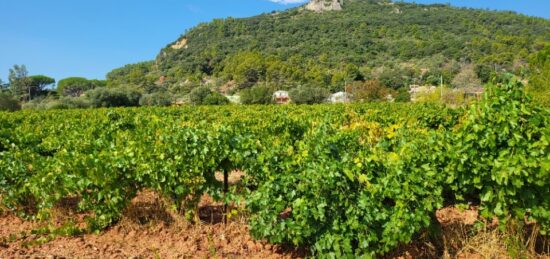 Terrain à bâtir à Gonfaron, Provence-Alpes-Côte d'Azur