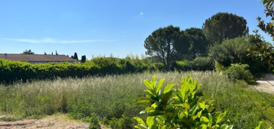 Terrain à bâtir à Laudun-l'Ardoise, Occitanie