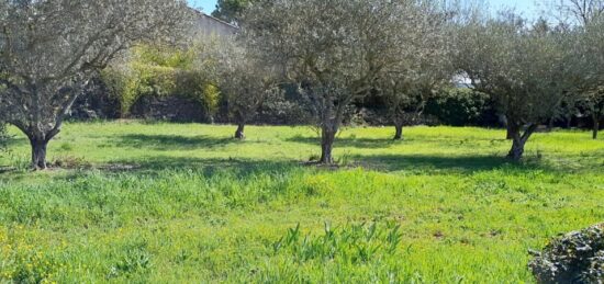 Terrain à bâtir à Brignoles, Provence-Alpes-Côte d'Azur