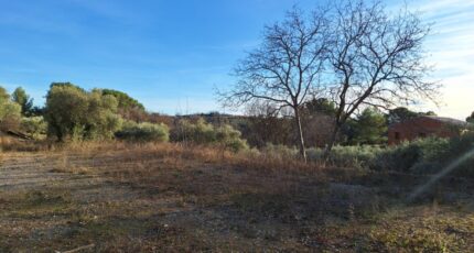 Valensole Terrain à bâtir - 1967789-6932annonce120241004pm3dF.jpeg Maisons de Manon