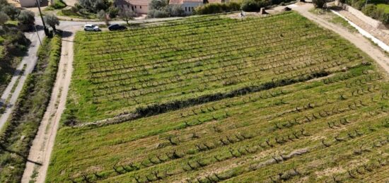 Terrain à bâtir à Cotignac, Provence-Alpes-Côte d'Azur