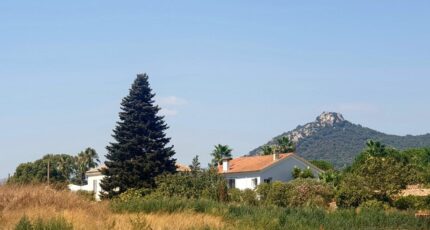 Hyères Terrain à bâtir - 1977678-11079annonce120241015O3vlO.jpeg Maisons de Manon