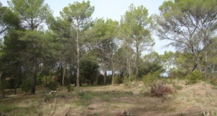 Pierrefeu-du-Var Maison neuve - 1983798-11080annonce120241022MtFWn.jpeg Maisons de Manon