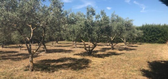 Terrain à bâtir à Oraison, Provence-Alpes-Côte d'Azur