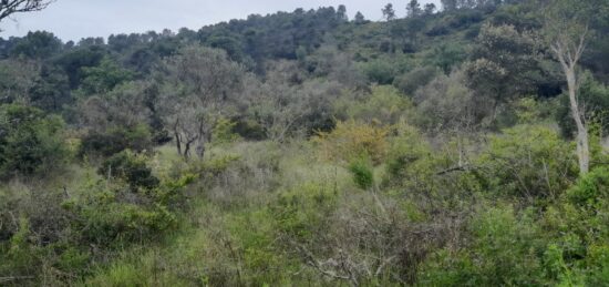 Terrain à bâtir à Camps-la-Source, Provence-Alpes-Côte d'Azur