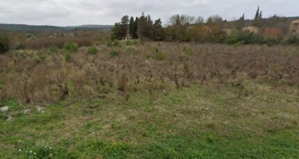 Argens-Minervois Terrain à bâtir - 1989949-692annonce120241030RrNuC.jpeg Maisons de Manon