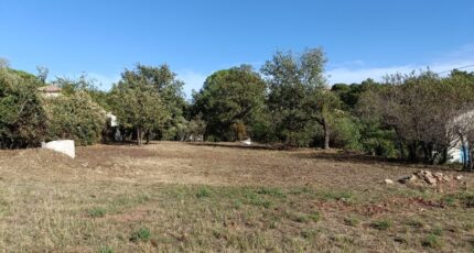 Vidauban Terrain à bâtir - 1922558-9911annonce1202408083S52x.jpeg Maisons de Manon