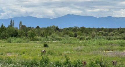 Perpignan Terrain à bâtir - 1972785-5472annonce120241010K0Prq.jpeg Maisons de Manon