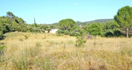 Carcès Terrain à bâtir - 1976225-10744annonce120240223E71GG.jpeg Maisons de Manon