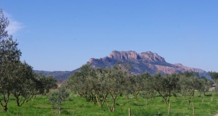 Roquebrune-sur-Argens Terrain à bâtir - 1938351-9911annonce120240904eg4yv.jpeg Maisons de Manon