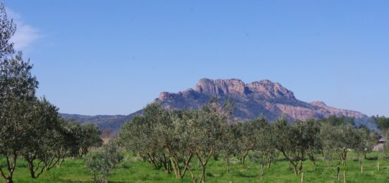 Terrain à bâtir à Roquebrune-sur-Argens, Provence-Alpes-Côte d'Azur