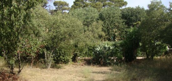 Terrain à bâtir à Toulon, Provence-Alpes-Côte d'Azur