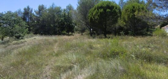 Terrain à bâtir à Saint-Siffret, Occitanie