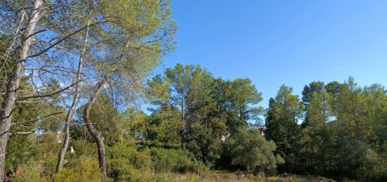 Terrain à bâtir à Bagnols-en-Forêt, Provence-Alpes-Côte d'Azur