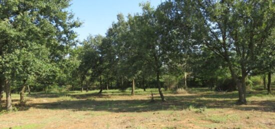 Terrain à bâtir à Montignargues, Occitanie