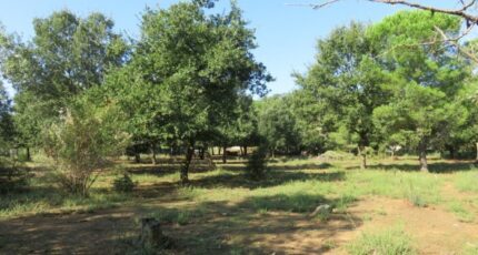 Montignargues Terrain à bâtir - 1974978-3243annonce220241011rv1qA.jpeg Maisons de Manon