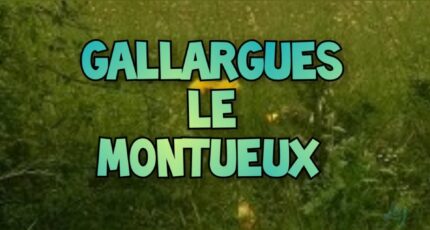 Gallargues-le-Montueux Terrain à bâtir - 1975476-3243annonce320241013McICE.jpeg Maisons de Manon