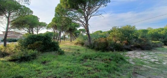 Terrain à bâtir à Puget-sur-Argens, Provence-Alpes-Côte d'Azur