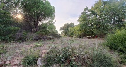 Puget-sur-Argens Maison neuve - 2014451-9911annonce2202411283fs3C.jpeg Maisons de Manon