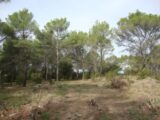 Terrain à bâtir à Pierrefeu-du-Var (83390) 1983790-11080annonce120241022MtFWn.jpeg Maisons de Manon