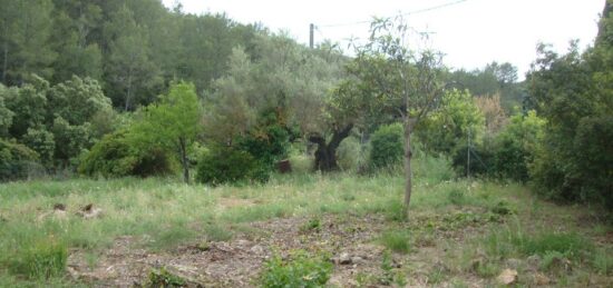 Terrain à bâtir à Cuers, Provence-Alpes-Côte d'Azur