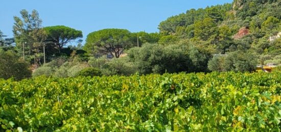 Terrain à bâtir à Gonfaron, Provence-Alpes-Côte d'Azur