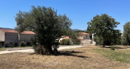 Aubagne Maison neuve - 2044287-10271annonce320250108GUvhi.jpeg Maisons de Manon