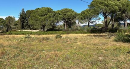 Puget-sur-Argens Maison neuve - 2046060-5826annonce120250110uiHWg.jpeg Maisons de Manon