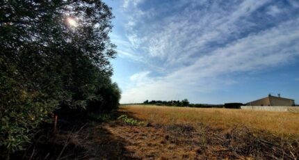 Thézan-lès-Béziers Terrain à bâtir - 2048685-11018annonce120250113CGcpb.jpeg Maisons de Manon